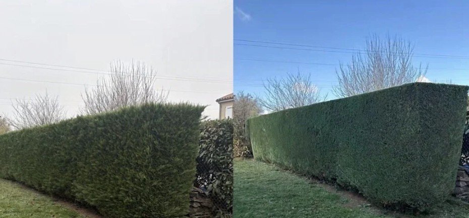 Avant et après d'une haie aménagée